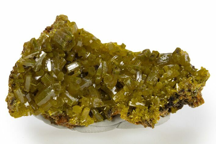 Lustrous Forest-Green Pyromorphite Crystal Cluster - China #330098